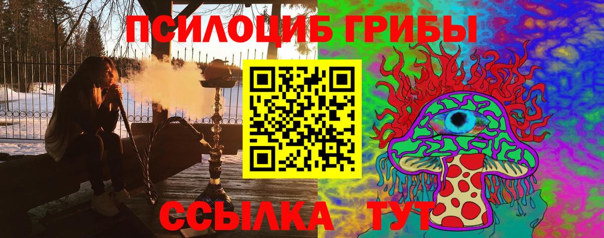 Псилоцибиновые грибы Magic Shrooms Прохладный