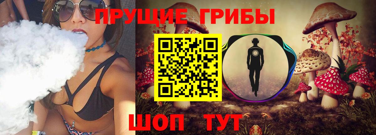 Псилоцибиновые грибы прущие грибы  Вход с VPN  Прохладный 